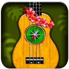 Find-the-perfect-ukulele-chords-icon
